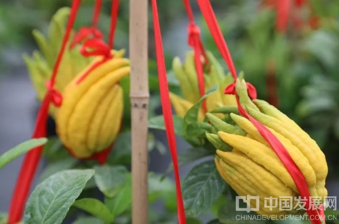 微信截圖_20251202095204