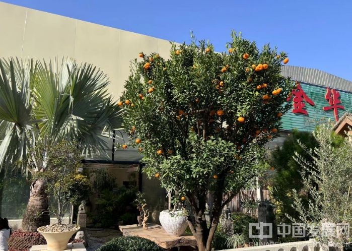 微信截圖_20251128140418