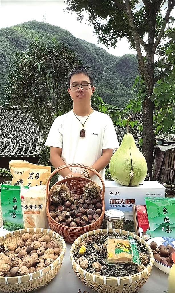 鎮(zhèn)安板栗借電商出圈