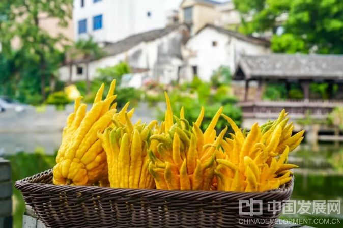 微信截圖_20251202095225