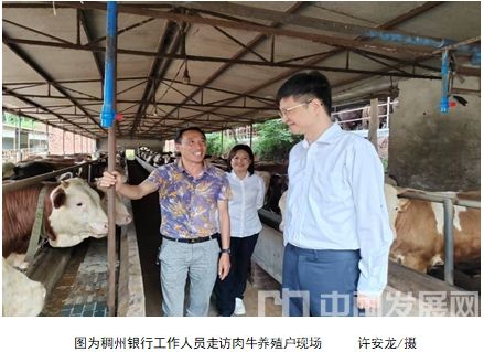 微信截圖_20251111160017