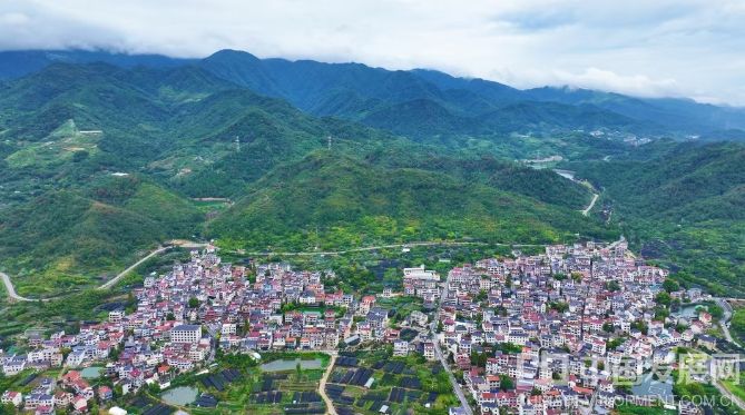 從賣鮮果到賣盆景、賣文創：浙江金華一顆金佛手串起產業鏈