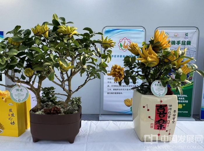 微信截圖_20251128140627