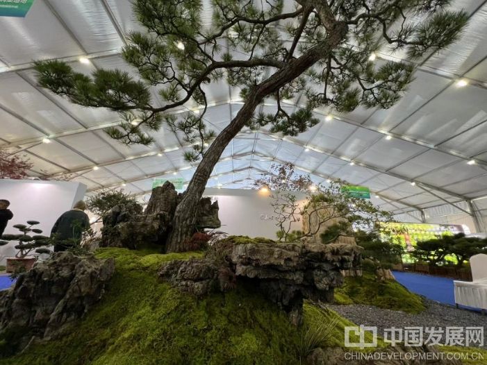 微信截圖_20251128140511