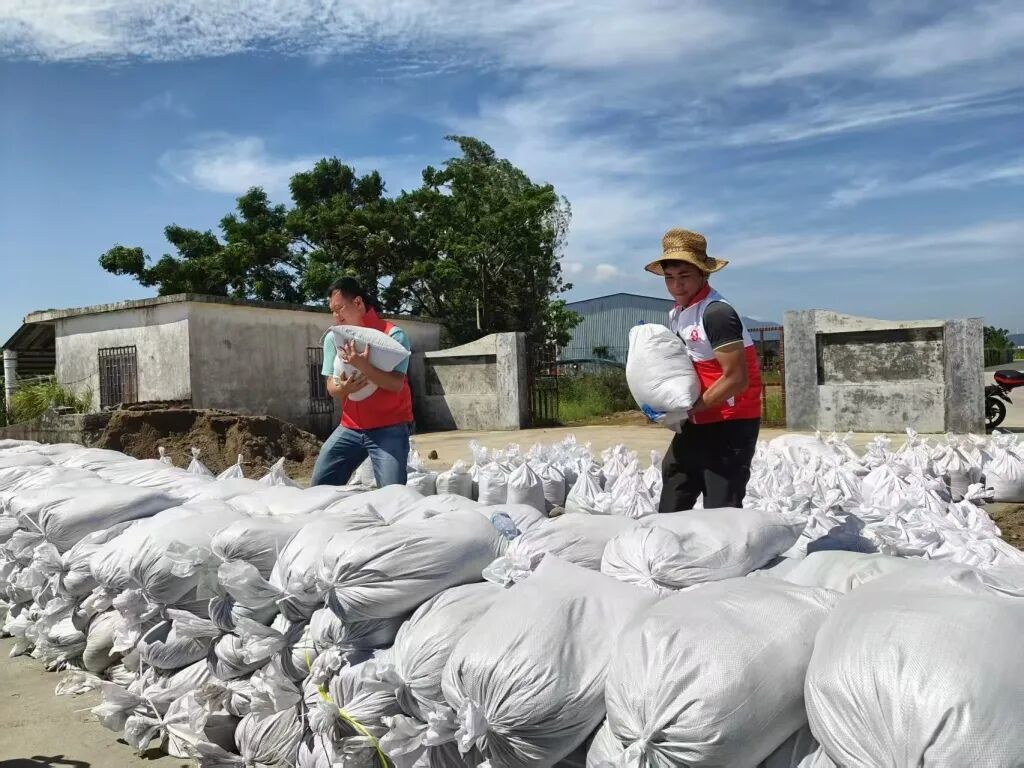 臺(tái)風(fēng)來臨前,漁業(yè)村組織村民加固海堤。