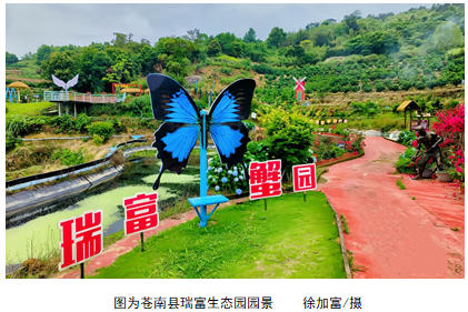 浙江金融實踐：躬耕山海間，初心暖甌越