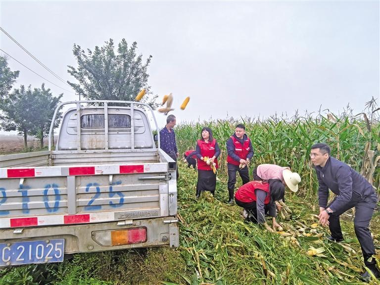 “把農民的損失降到最低”