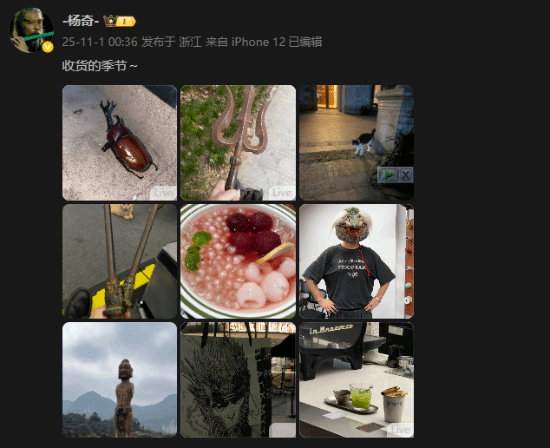 楊奇曬新圖：頭套亮眼 手拿雙錘疑似在動捕棚開工？