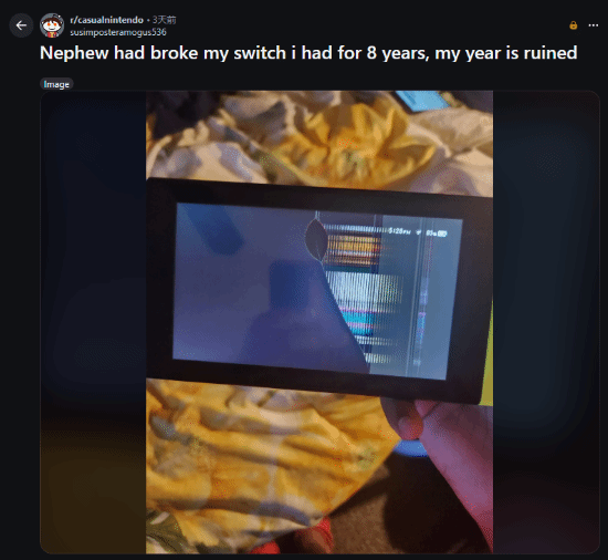 Switch被熊孩子玩壞后引玩家熱議：別讓小孩進房間！